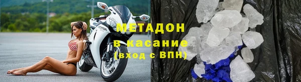 индика Няндома