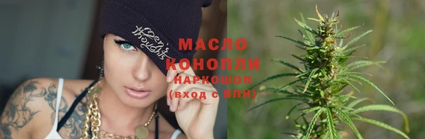тгк Абаза