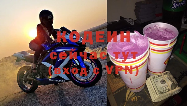 индика Няндома
