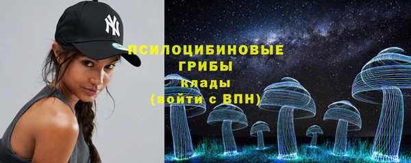 индика Няндома