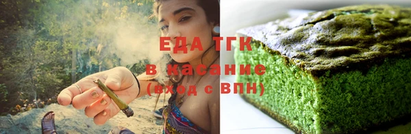 индика Няндома