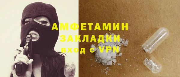 индика Няндома