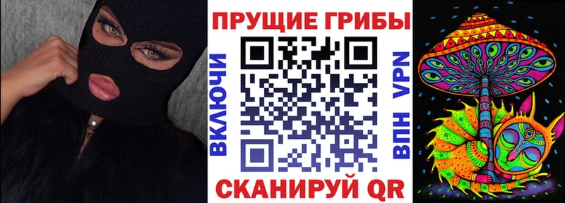Галлюциногенные грибы Cubensis  blacksprut сайт  Александровск 